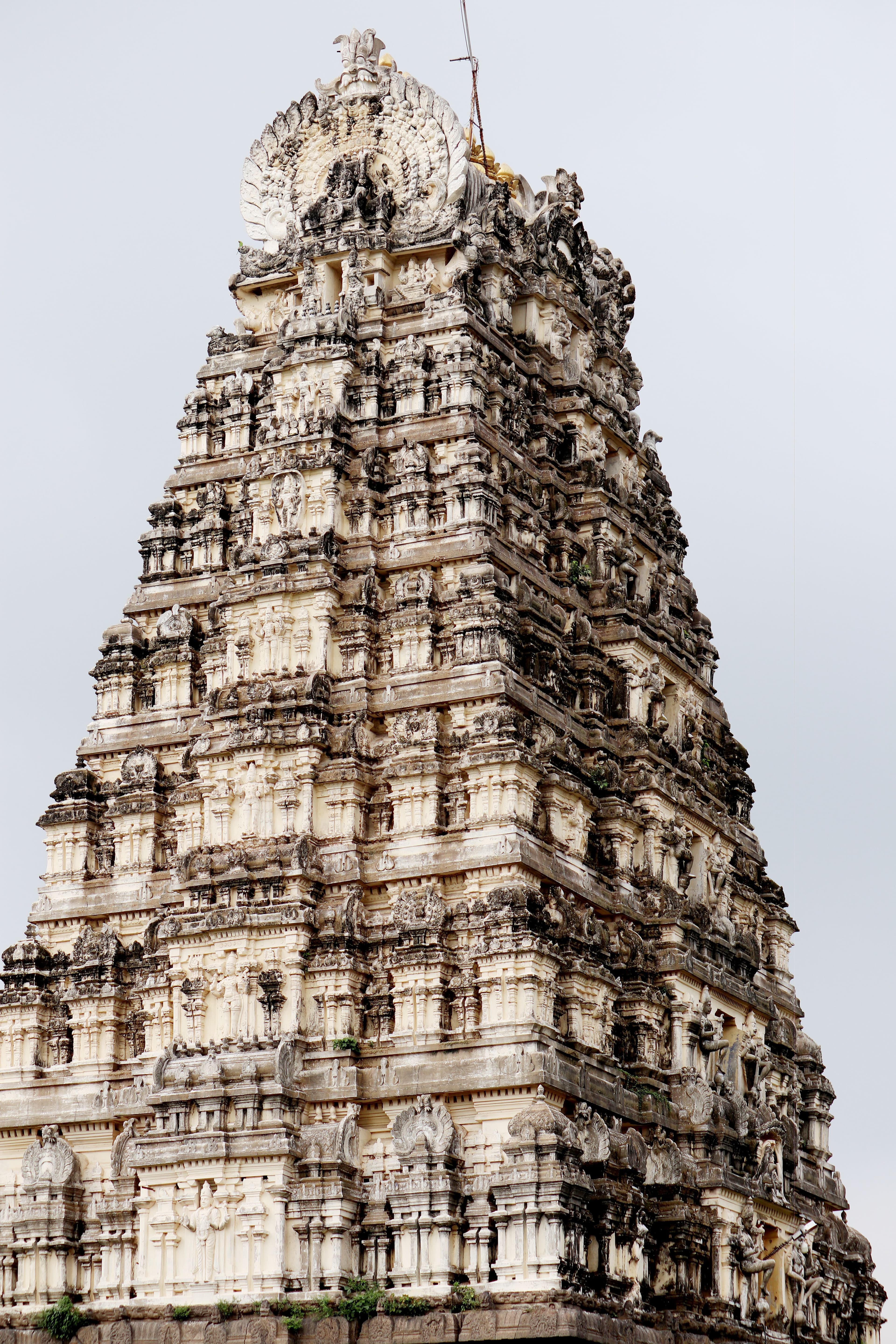 Mysuru