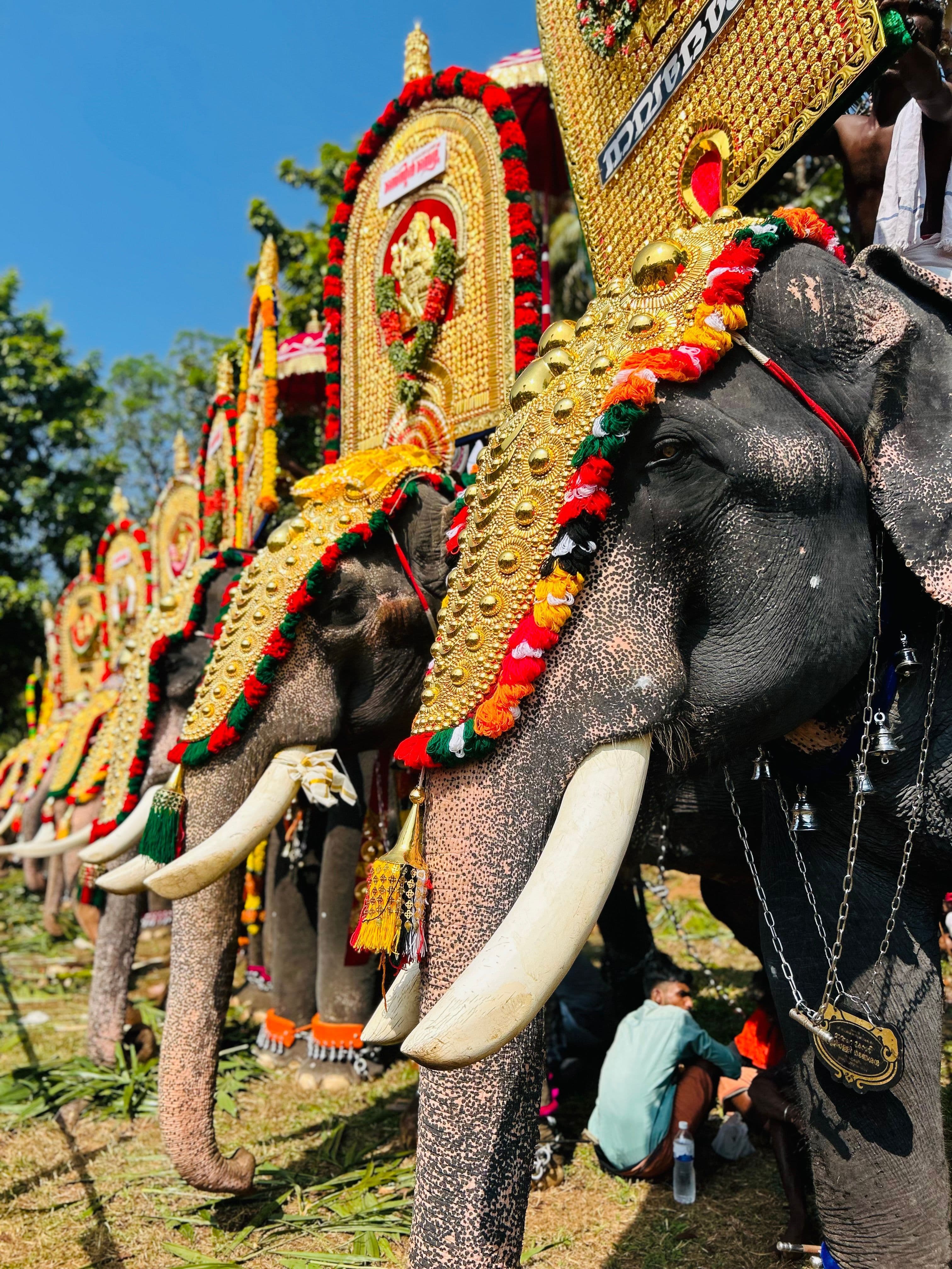 Mysuru